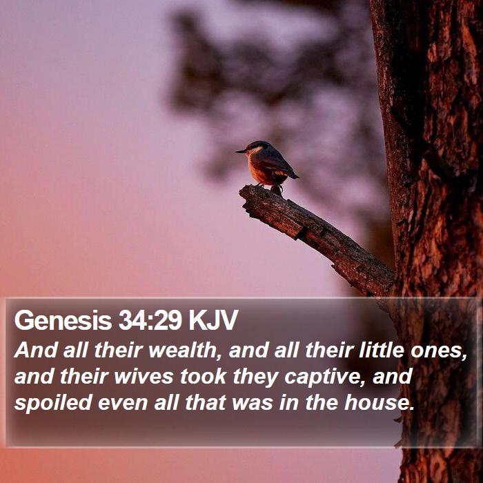 Genesis 34:29 KJV - And all their wealth, and all their little ones, - Bible Verse Picture