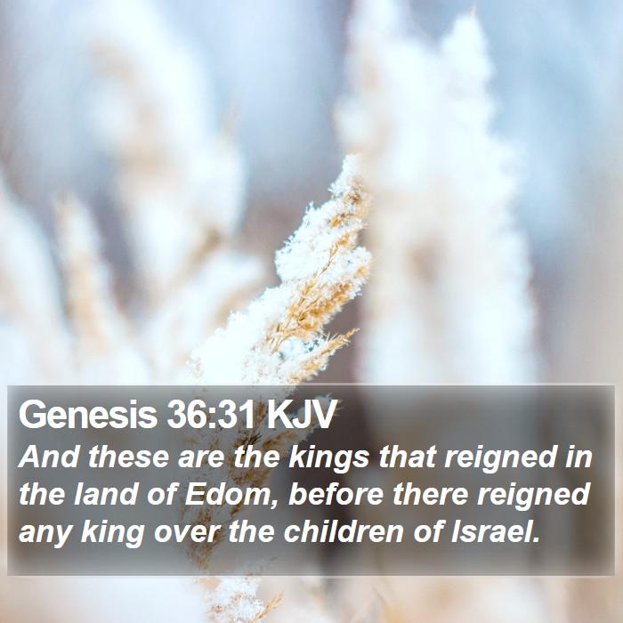 Genesis 36:31 KJV - And these are the kings that reigned in the land - Bible Verse Picture