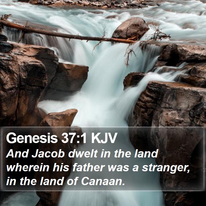 Genesis 37:1 KJV - And Jacob dwelt in the land wherein his father - Bible Verse Picture