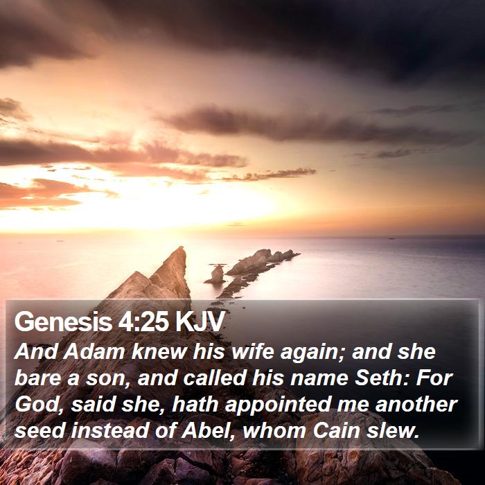 Genesis 4:25 KJV - And Adam knew his wife again; and she bare a son, - Bible Verse Picture