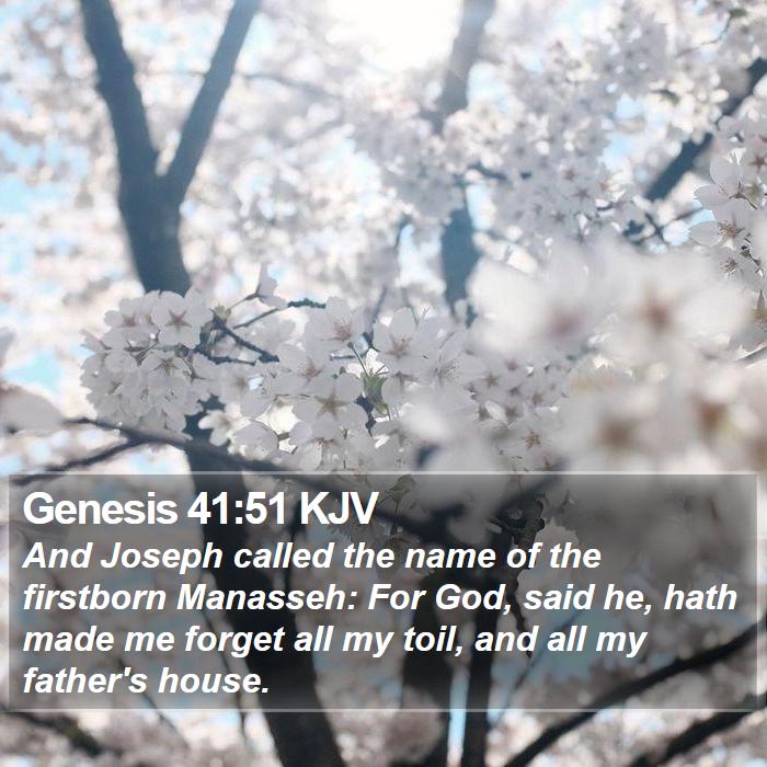 Genesis 41:51 KJV - And Joseph called the name of the firstborn - Bible Verse Picture