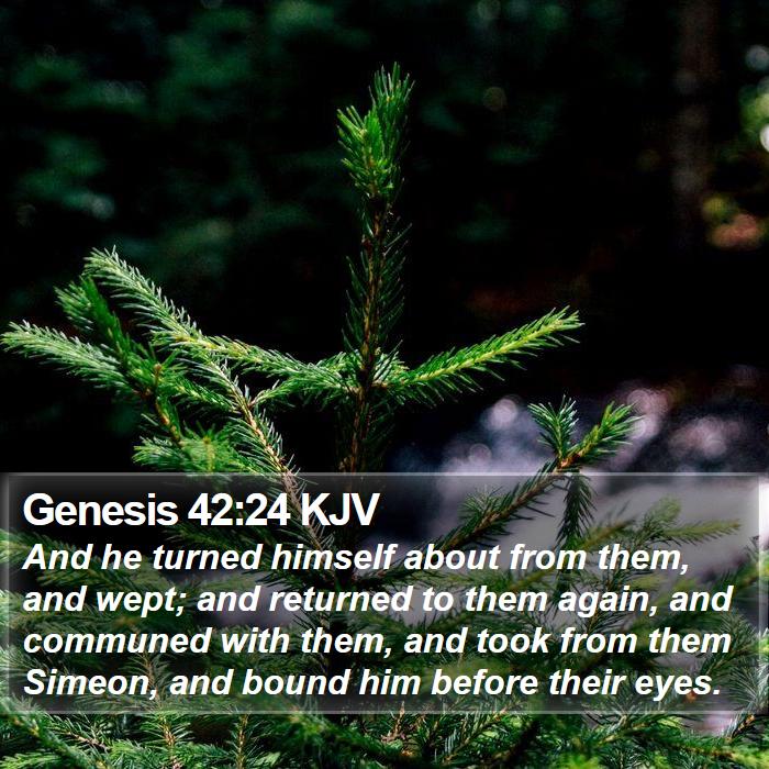Genesis 42:24 KJV - And he turned himself about from them, and wept; - Bible Verse Picture