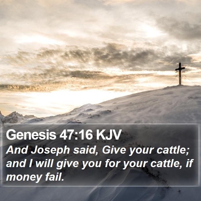 Genesis 47:16 KJV - And Joseph said, Give your cattle; and I will - Bible Verse Picture