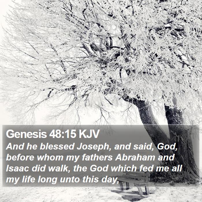 Genesis 48:15 KJV - And he blessed Joseph, and said, God, before whom - Bible Verse Picture