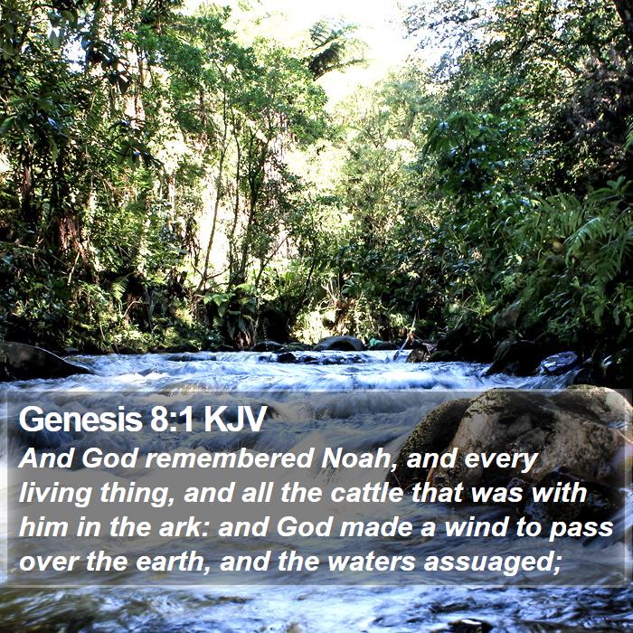 Genesis 8:1 KJV - And God remembered Noah, and every living thing, - Bible Verse Picture