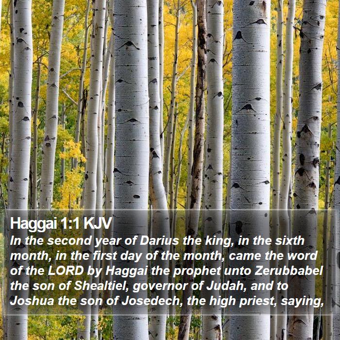 Haggai 1:1 KJV - In the second year of Darius the king, in the - Bible Verse Picture
