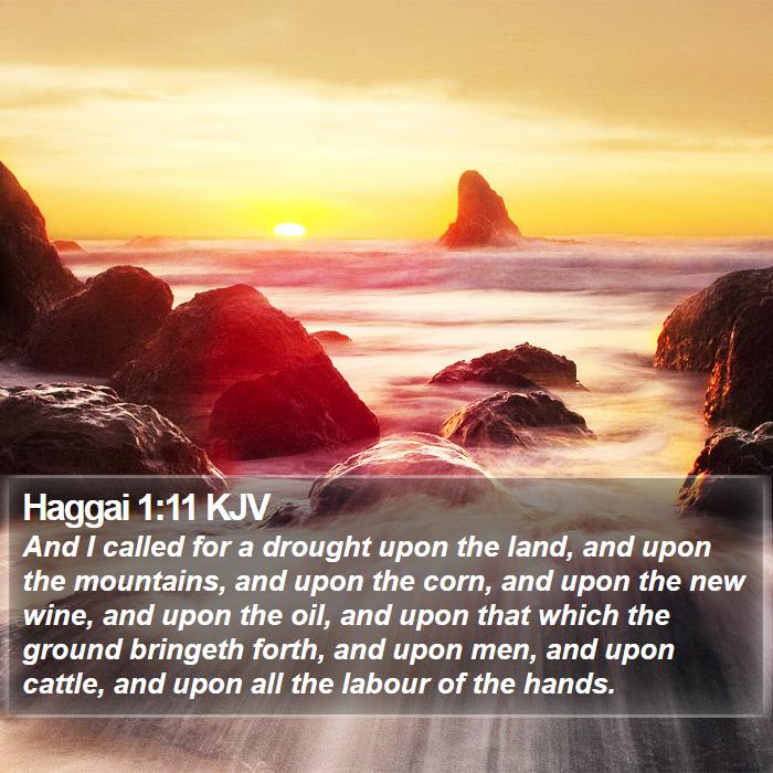 Haggai 1:11 KJV - And I called for a drought upon the land, and - Bible Verse Picture