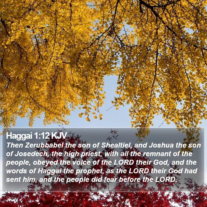Haggai 1:12 KJV - Then Zerubbabel the son of Shealtiel, and Joshua - Bible Verse Picture