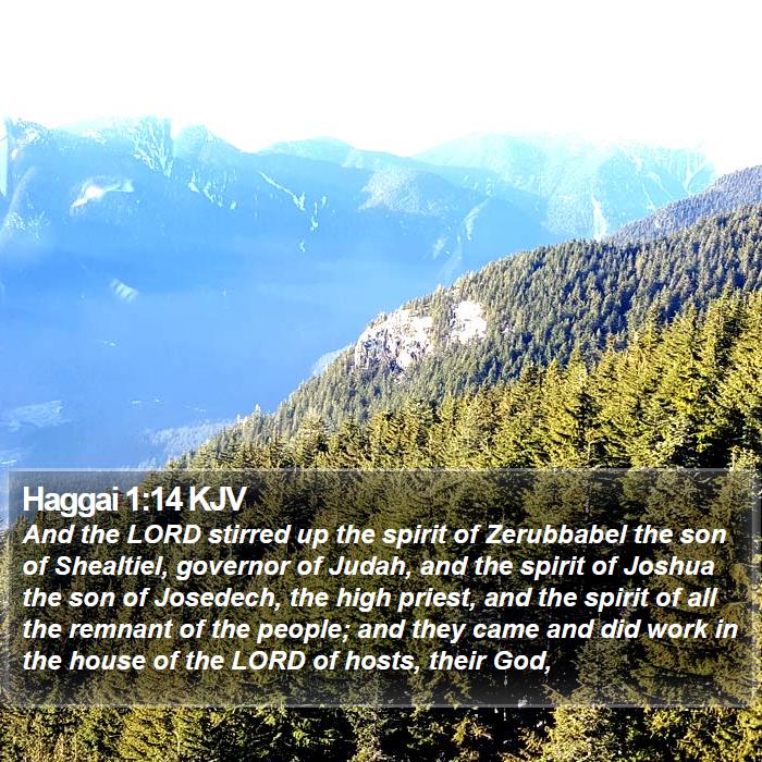Haggai 1:14 KJV - And the LORD stirred up the spirit of Zerubbabel - Bible Verse Picture