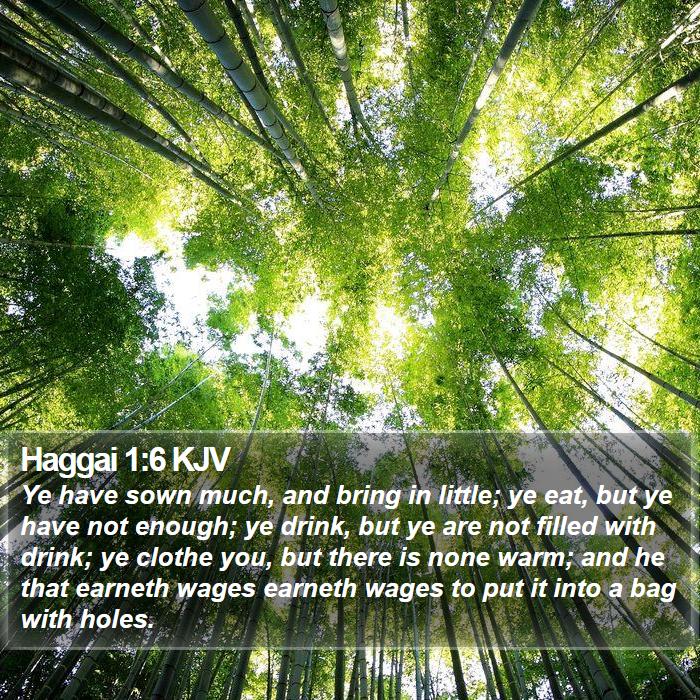 Haggai 1:6 KJV - Ye have sown much, and bring in little; ye eat, - Bible Verse Picture