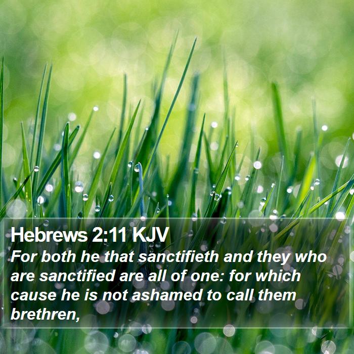 Hebrews 2:11 KJV - For both he that sanctifieth and they who are