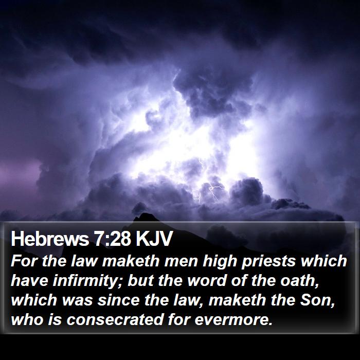 Hebrews 7:28 KJV - For the law maketh men high priests which have - Bible Verse Picture