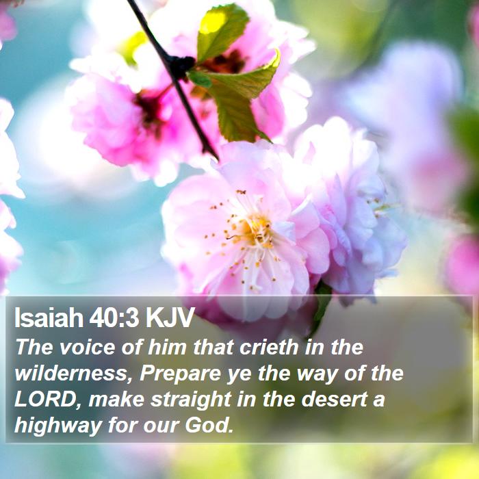 Isaiah 40:3 KJV - The voice of him that crieth in the wilderness, - Bible Verse Picture