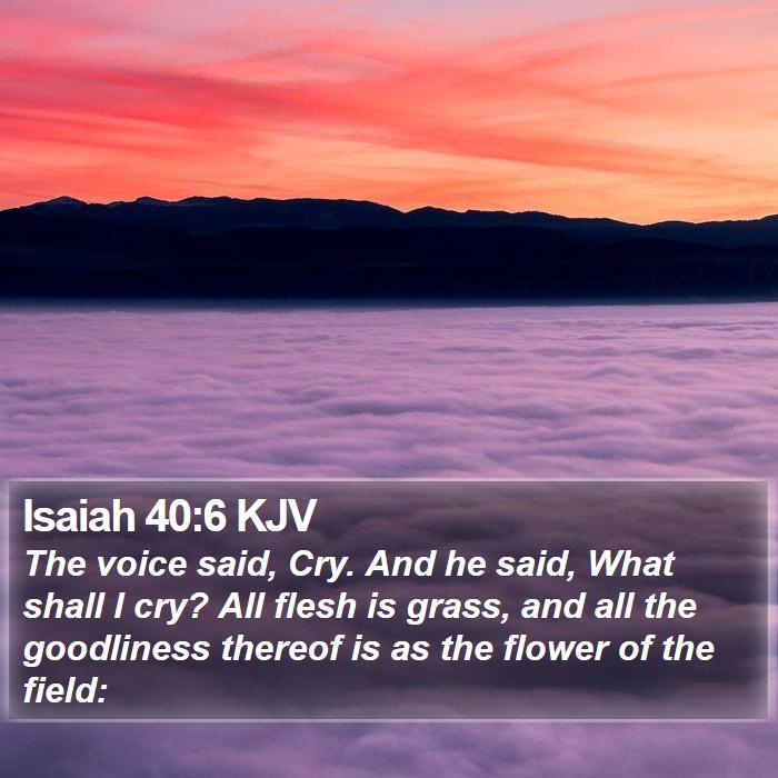 Isaiah 40:6 KJV - The voice said, Cry. And he said, What shall I - Bible Verse Picture