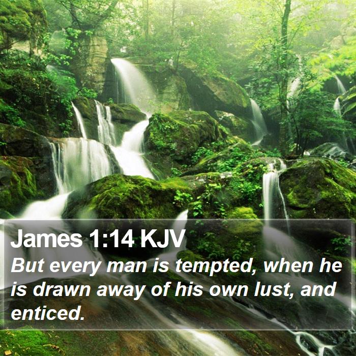 James 1:14 KJV - But every man is tempted, when he is drawn away - Bible Verse Picture