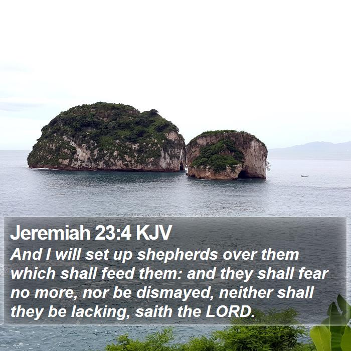 Jeremiah 23:4 KJV - And I will set up shepherds over them which shall - Bible Verse Picture