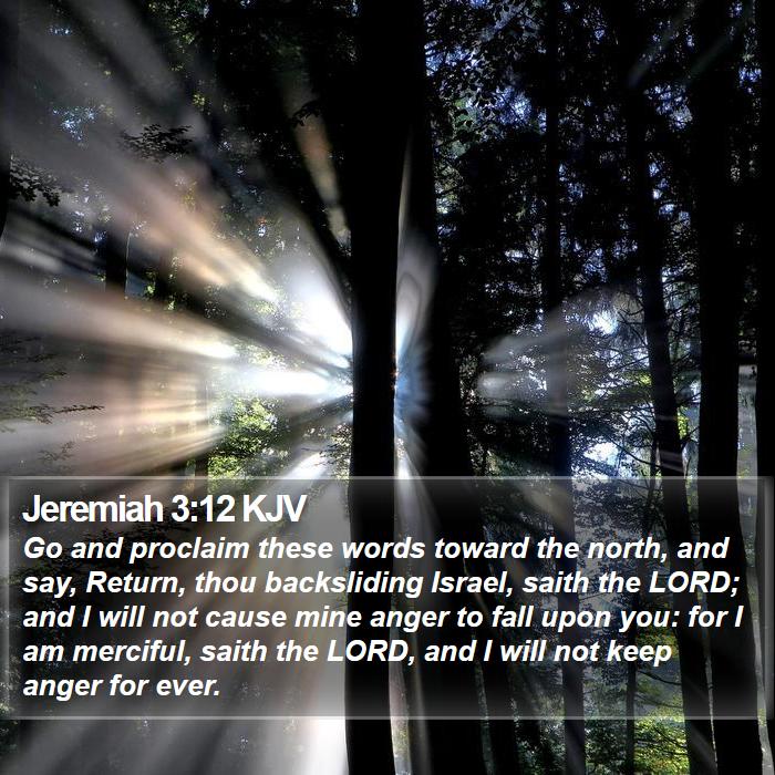 Jeremiah 3:12 KJV - Go and proclaim these words toward the north, and - Bible Verse Picture