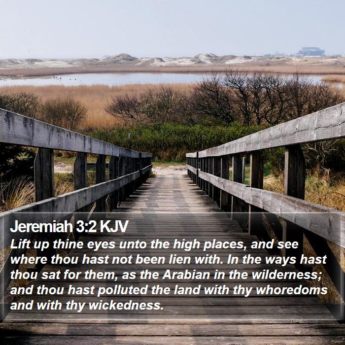 Jeremiah 3:2 KJV - Lift up thine eyes unto the high places, and see - Bible Verse Picture