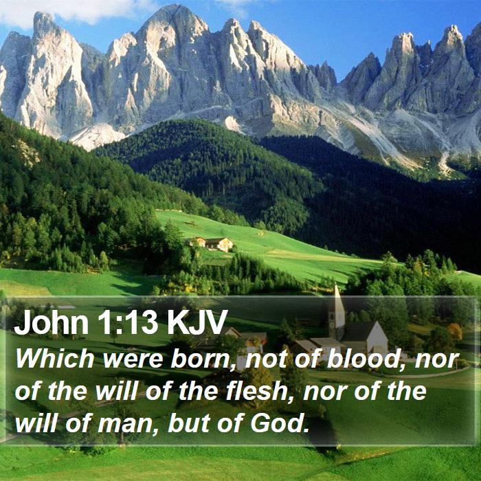 John 1:13 KJV - Which were born, not of blood, nor of the will of - Bible Verse Picture