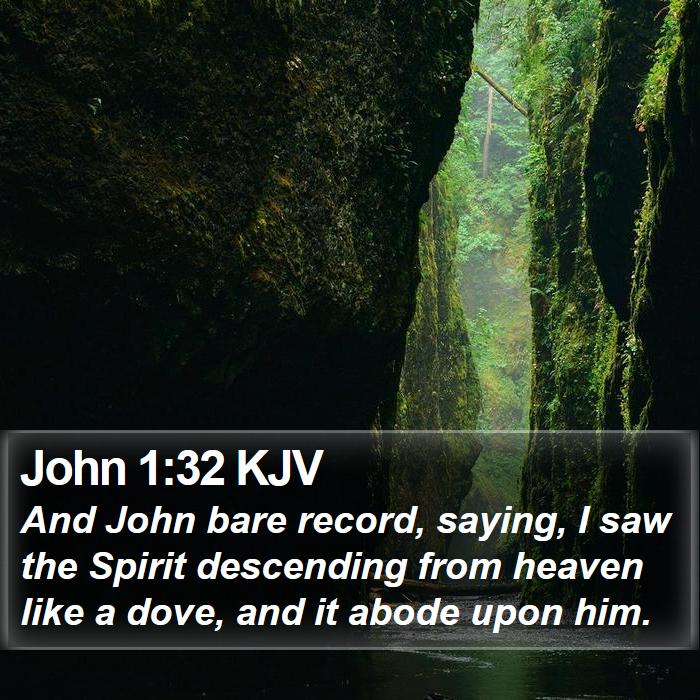 John 1:32 KJV - And John bare record, saying, I saw the Spirit - Bible Verse Picture