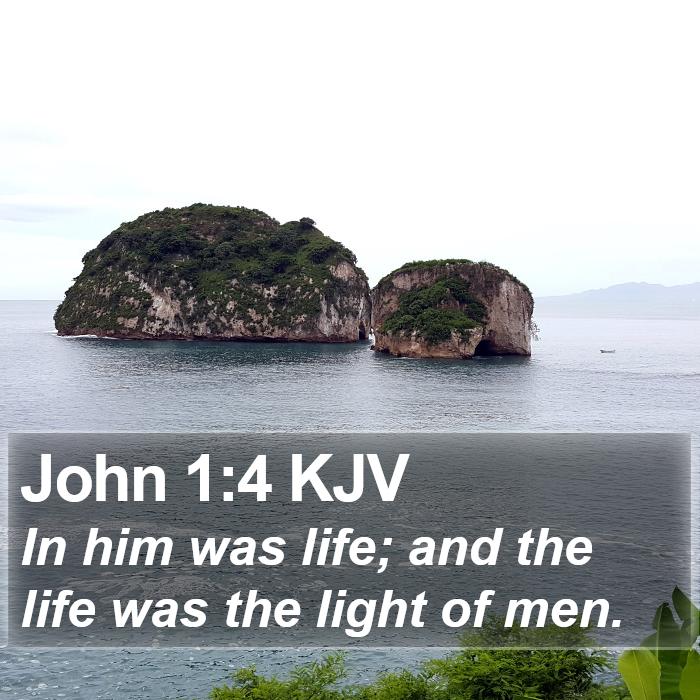 John 1:4 KJV - In him was life; and the life was the light of - Bible Verse Picture