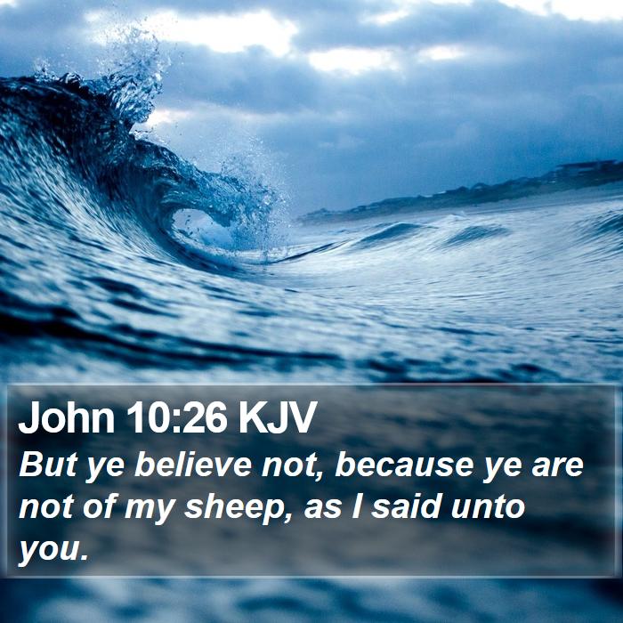 John 10:26 KJV - But ye believe not, because ye are not of my - Bible Verse Picture
