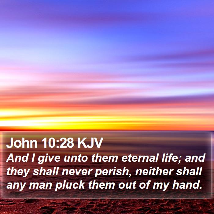 John 10:28 KJV - And I give unto them eternal life; and they shall - Bible Verse Picture