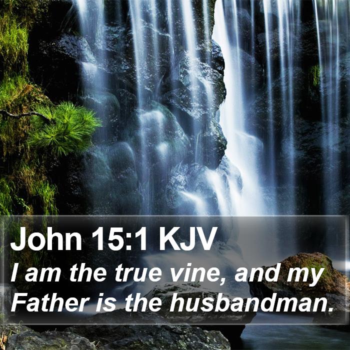 John 15:1 KJV - I am the true vine, and my Father is the - Bible Verse Picture
