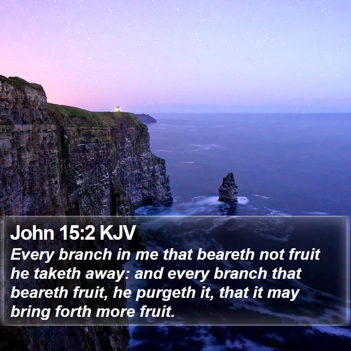 John 15:2 KJV - Every branch in me that beareth not fruit he - Bible Verse Picture