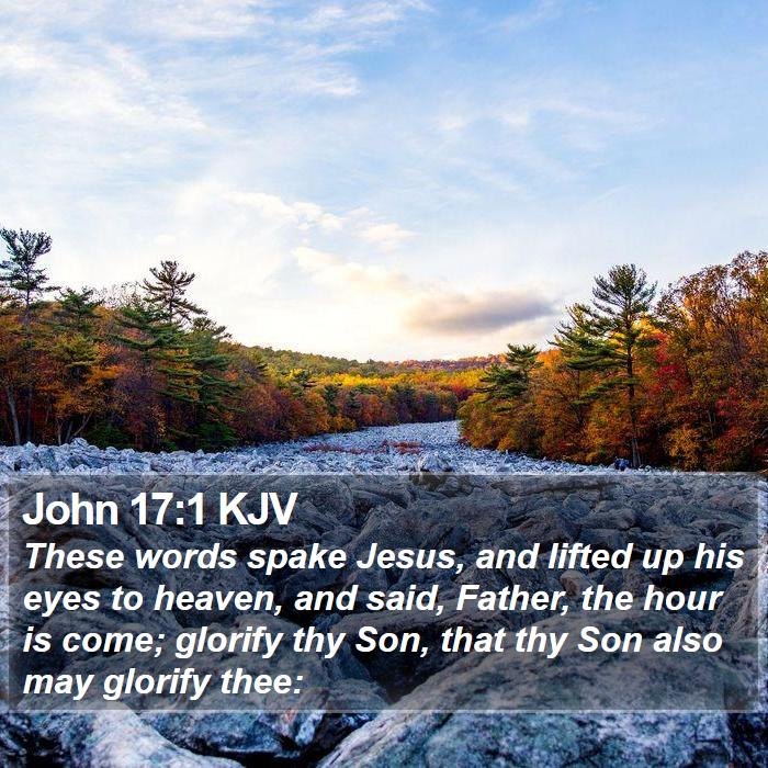 John 17:1 KJV - These words spake Jesus, and lifted up his eyes - Bible Verse Picture