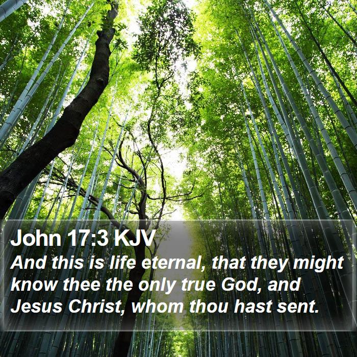 John 17:3 KJV - And this is life eternal, that they might know - Bible Verse Picture