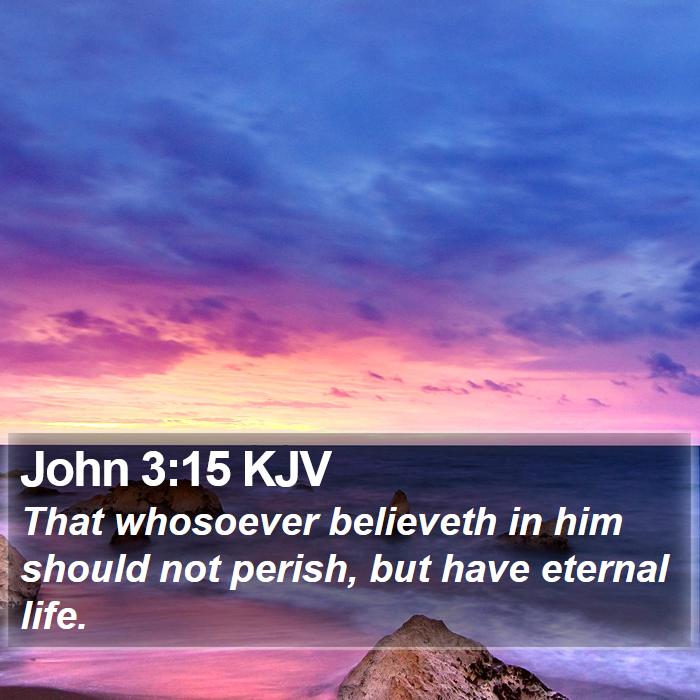 John 3:15 KJV - That whosoever believeth in him should not - Bible Verse Picture