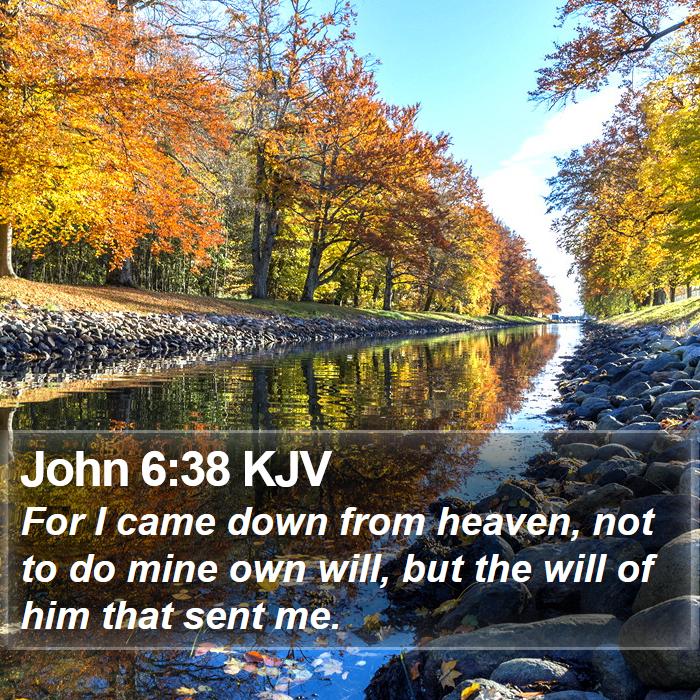 John 6:38 KJV - For I came down from heaven, not to do mine own - Bible Verse Picture