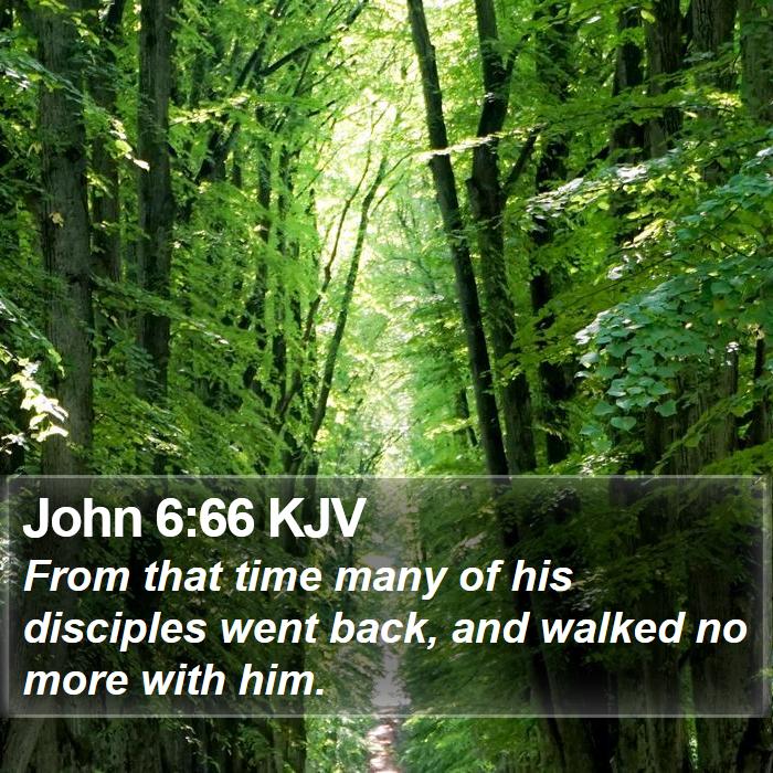 John 6:66 KJV - From that time many of his disciples went back, - Bible Verse Picture