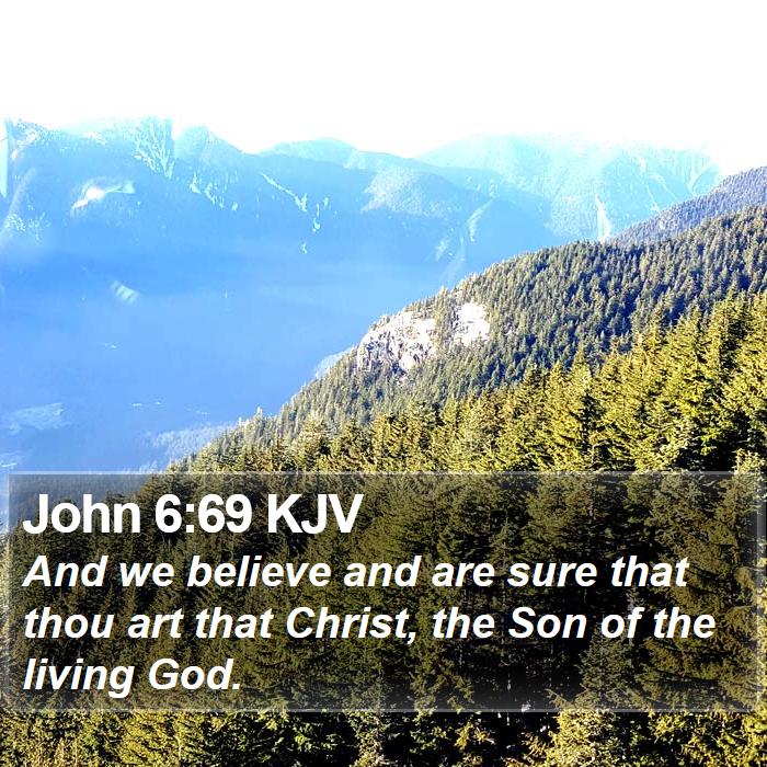 John 6:69 KJV - And we believe and are sure that thou art that - Bible Verse Picture