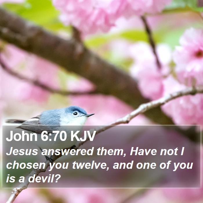 John 6:70 KJV - Jesus answered them, Have not I chosen you - Bible Verse Picture