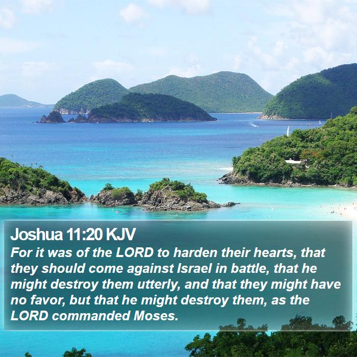 Joshua 11:20 KJV - For it was of the LORD to harden their hearts, - Bible Verse Picture