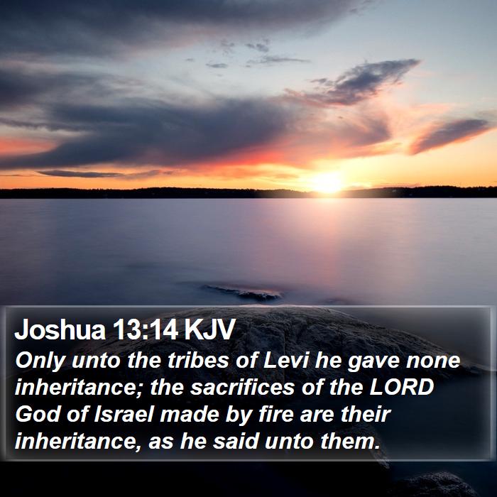 Joshua 13:14 KJV - Only unto the tribes of Levi he gave none - Bible Verse Picture