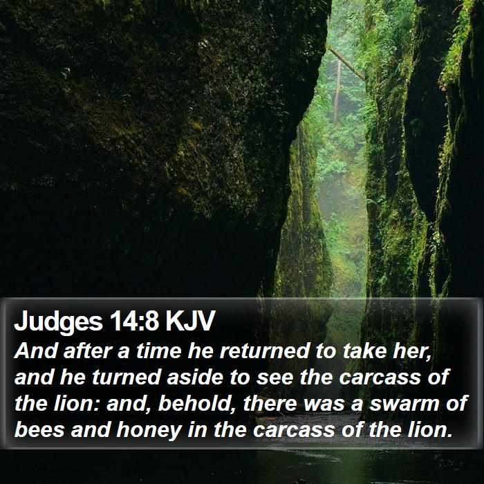 Judges 14:8 KJV - And after a time he returned to take her, and he - Bible Verse Picture