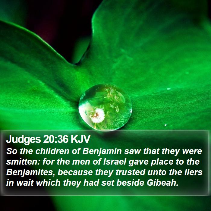 Judges 20:36 KJV - So the children of Benjamin saw that they were - Bible Verse Picture