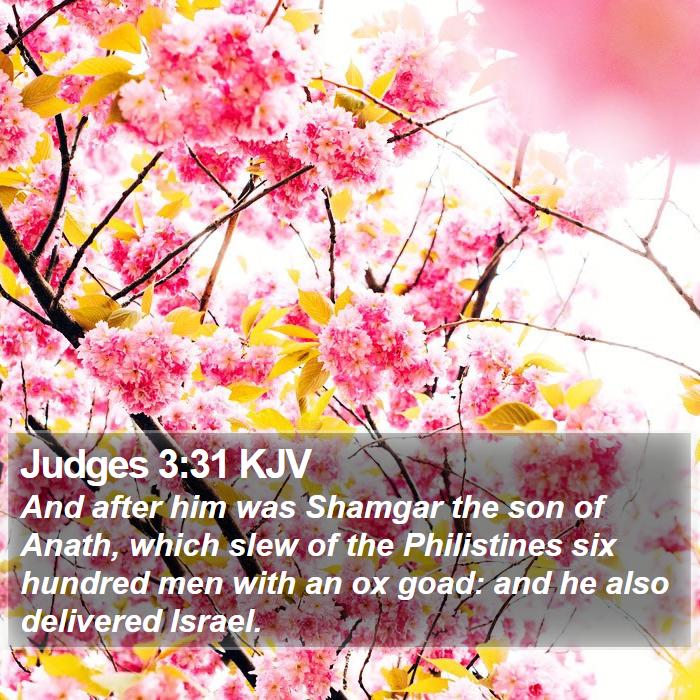 Judges 3:31 KJV - And after him was Shamgar the son of Anath, which - Bible Verse Picture
