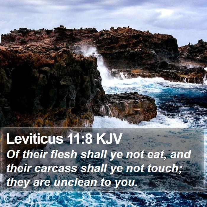 Leviticus 11:8 KJV - Of their flesh shall ye not eat, and their - Bible Verse Picture