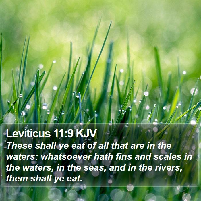 Leviticus 11:9 KJV - These shall ye eat of all that are in the waters: - Bible Verse Picture