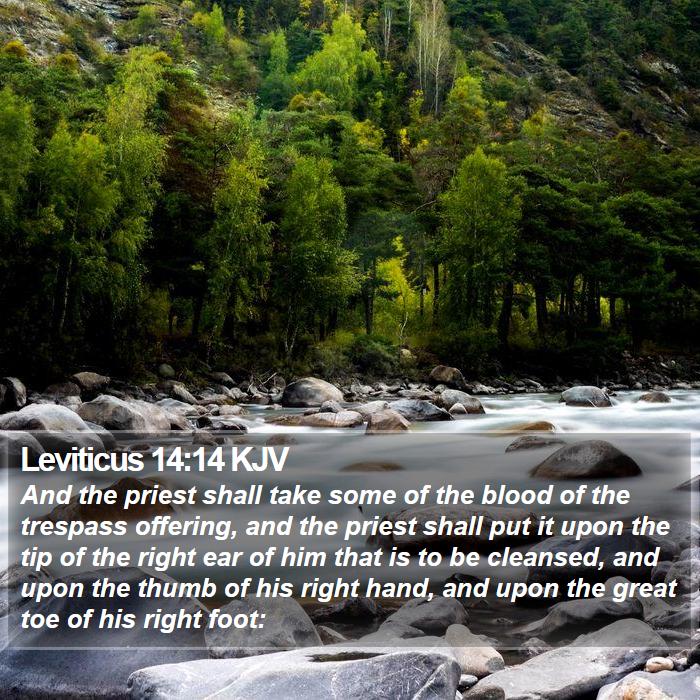 Leviticus 14:14 KJV - And the priest shall take some of the blood of - Bible Verse Picture