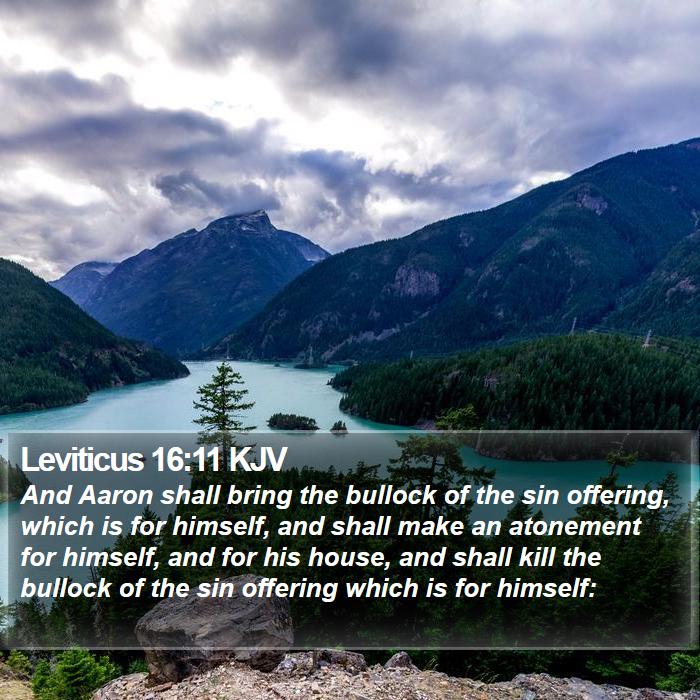 Leviticus 16:11 KJV - And Aaron shall bring the bullock of the sin - Bible Verse Picture