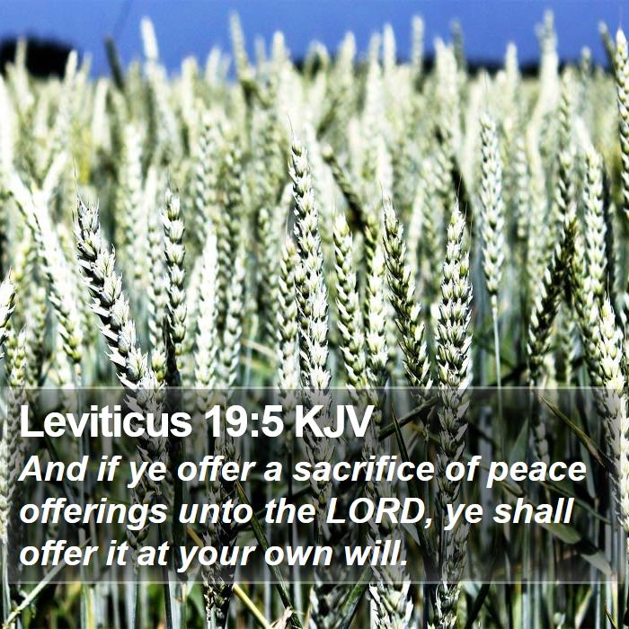 Leviticus 19:5 KJV - And if ye offer a sacrifice of peace offerings - Bible Verse Picture