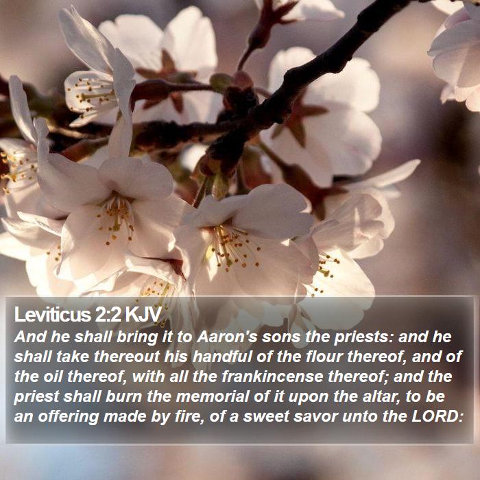 Leviticus 2:2 KJV - And he shall bring it to Aaron's sons the - Bible Verse Picture