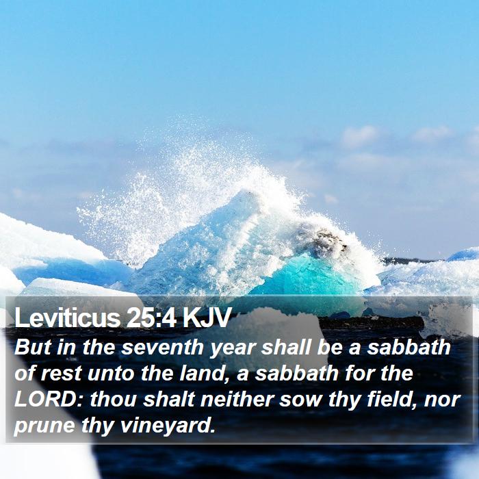 Leviticus 25:4 KJV - But in the seventh year shall be a sabbath of - Bible Verse Picture