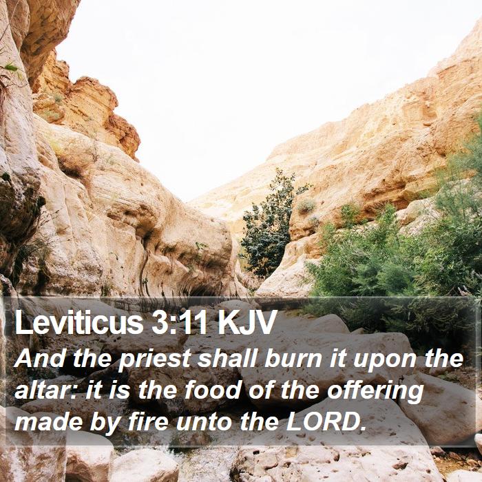 Leviticus 3:11 KJV - And the priest shall burn it upon the altar: it - Bible Verse Picture