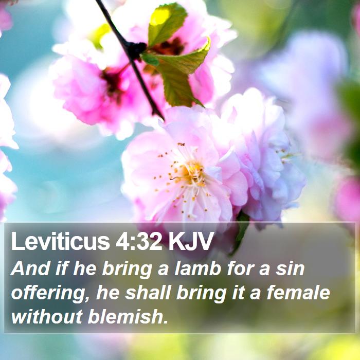 Leviticus 4:32 KJV - And if he bring a lamb for a sin offering, he - Bible Verse Picture